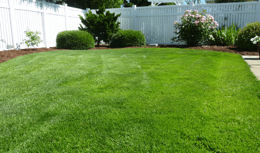 LAWN CARE SERVICE